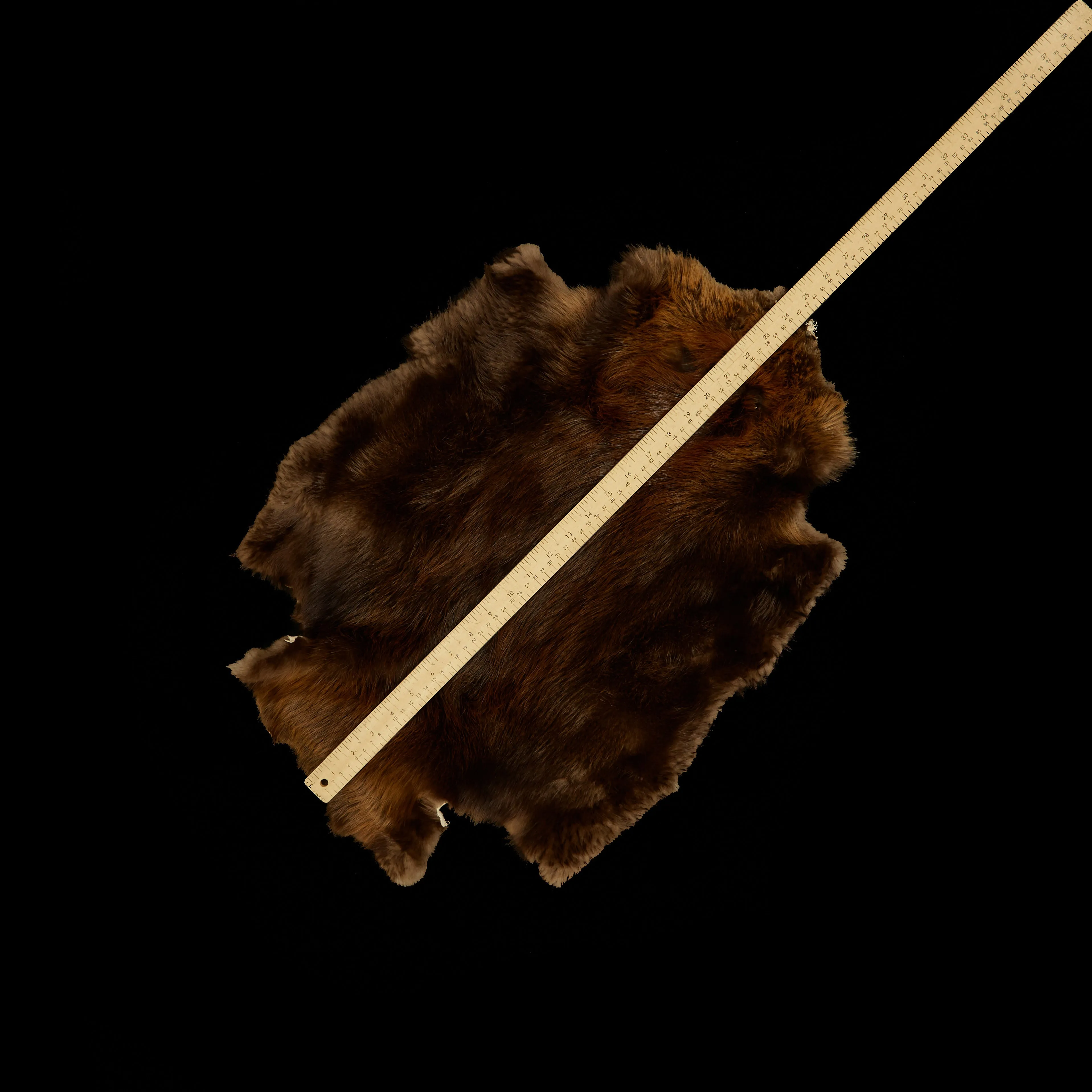 Long Haired Beaver Skin - Natural