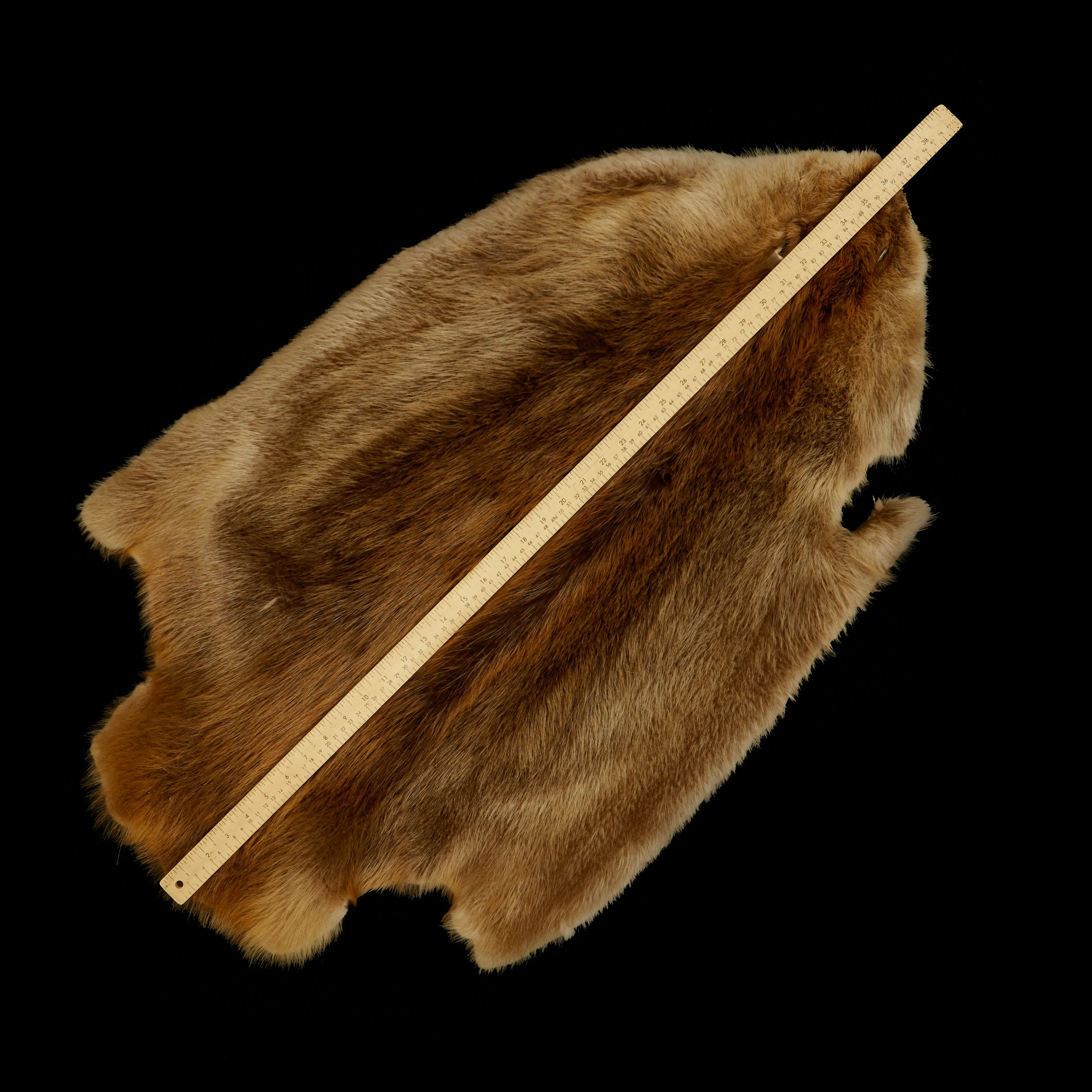 Long Haired Beaver Skin - Natural