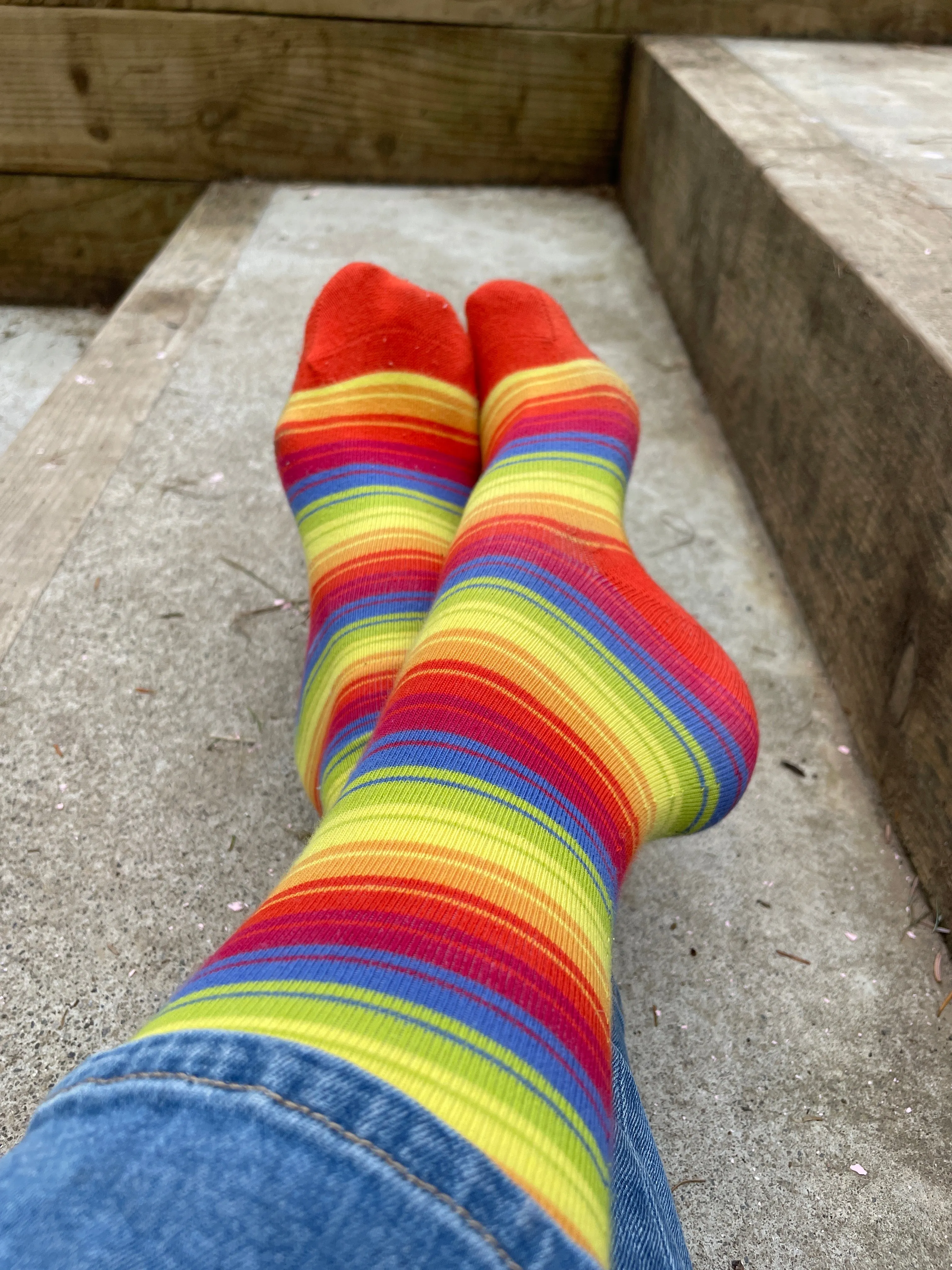Rainbow Stripe Knee Socks - ADULT Sizes